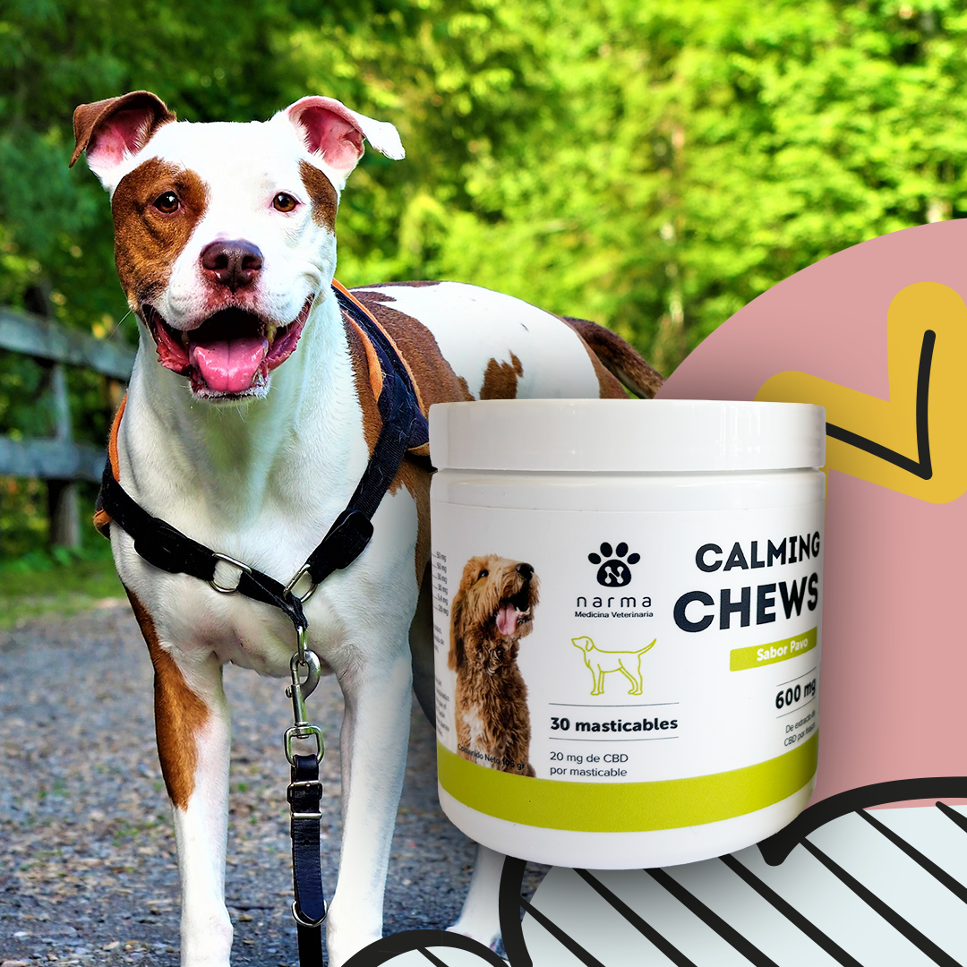 Masticable Calmante para Perros 600 mg - 30 unidades