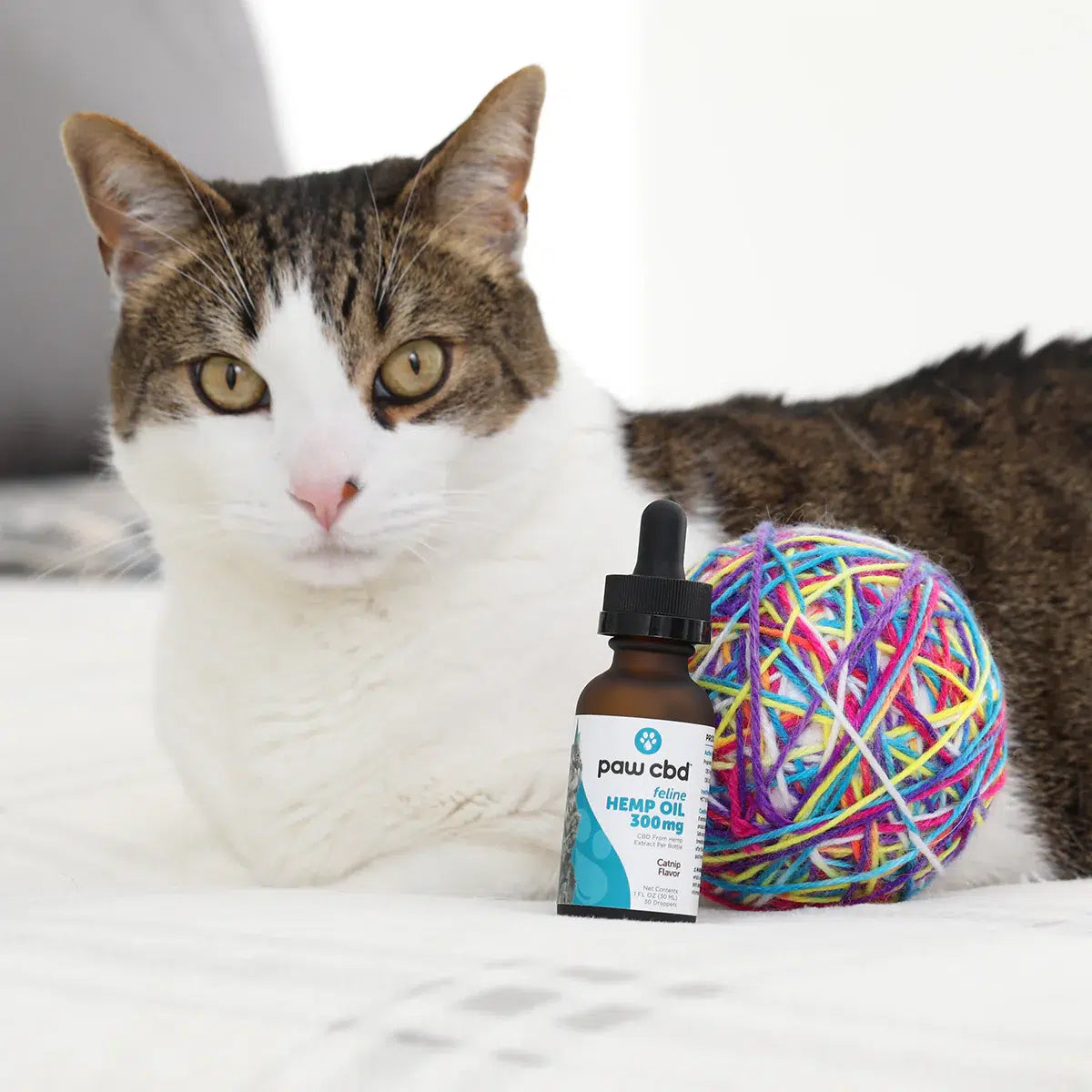 PawMD Oil Calming Cat 300 mg - 30 ml