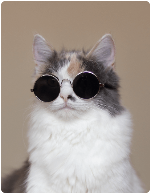 GATOS
